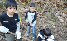 植樹の模様(3)