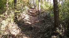 遊歩道づくり