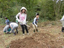 畑づくり